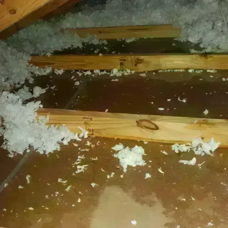 Attic Water Damage in Yabucoa Municipio, PR